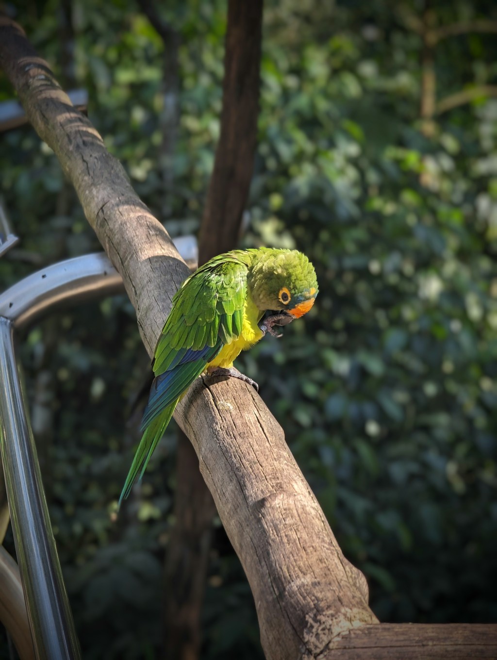 Tag 11, Puerto&nbsp;Iguazu