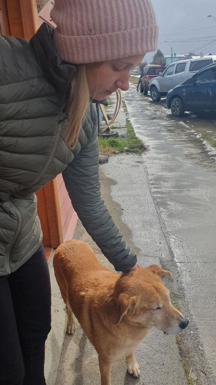 Tag 68, Puerto&nbsp;Natales