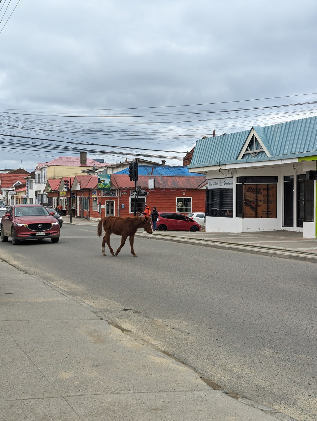 Tag 69, Punta&nbsp;Arenas