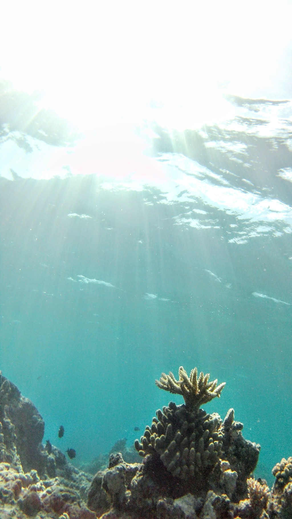 Tag 112, Nanuya Lailai –&nbsp;Fiji