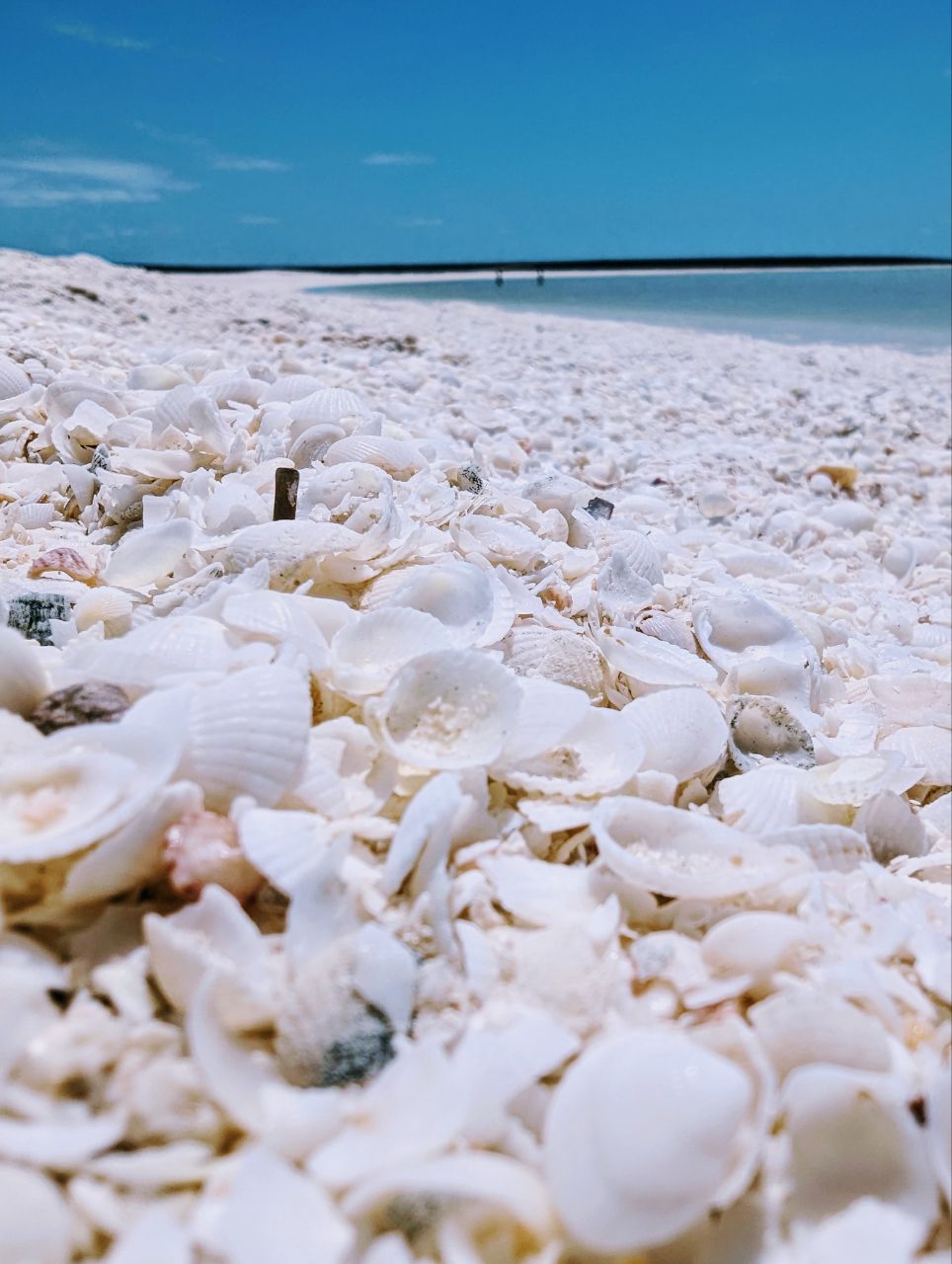 Tag 127, Denham – Shark&nbsp;Bay