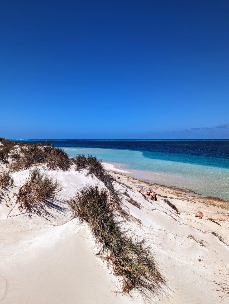 Tag 129, Coral&nbsp;Bay