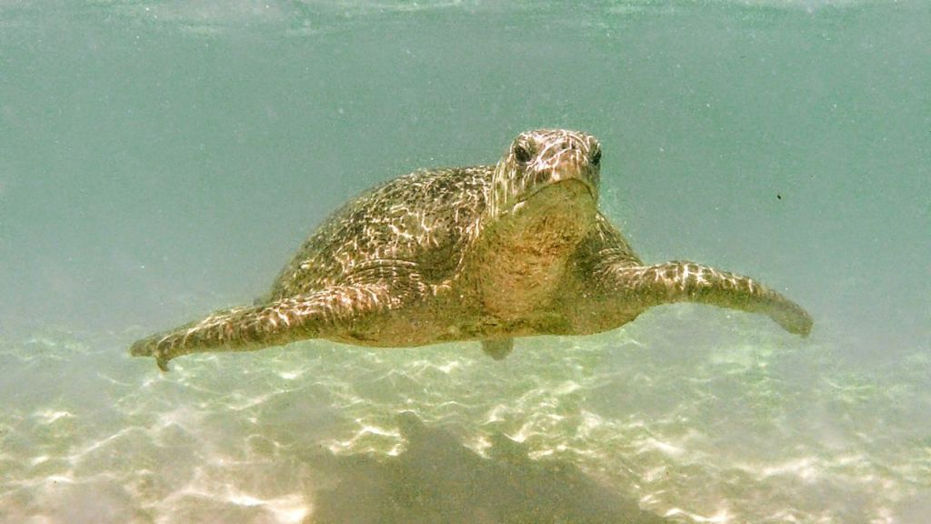 Tag 131, Cape Range&nbsp;Nationalpark