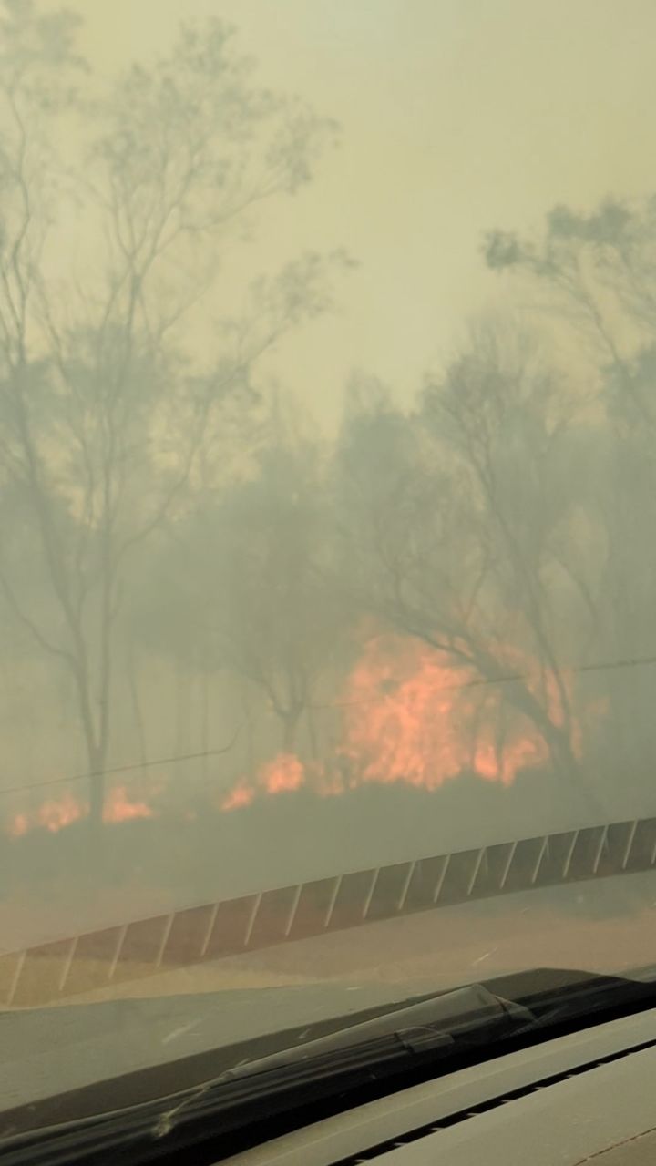 Tag 136, Two Camel Creek&nbsp;(NWHWY)