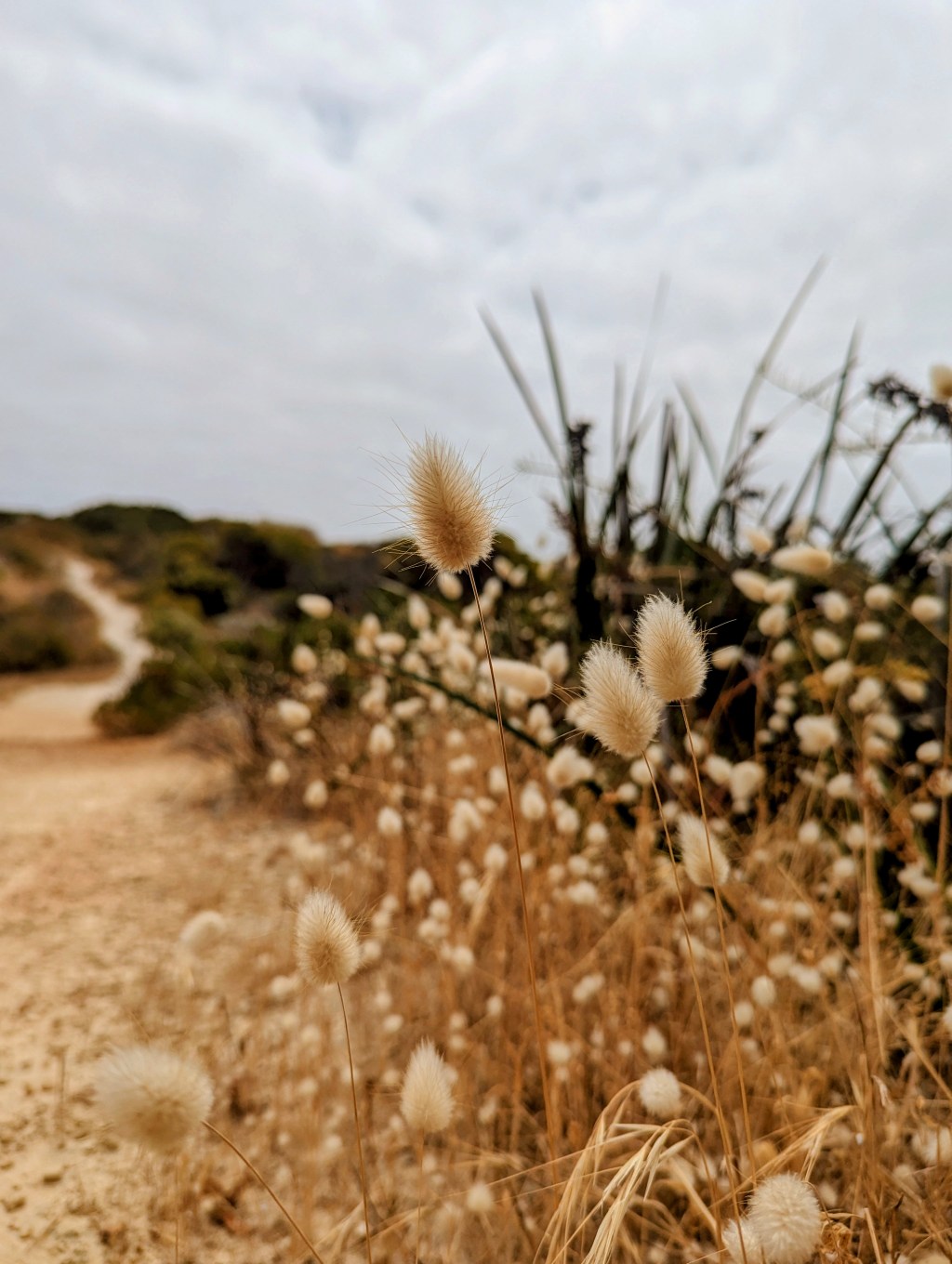 Tag 118, Milligan Island –&nbsp;AUS