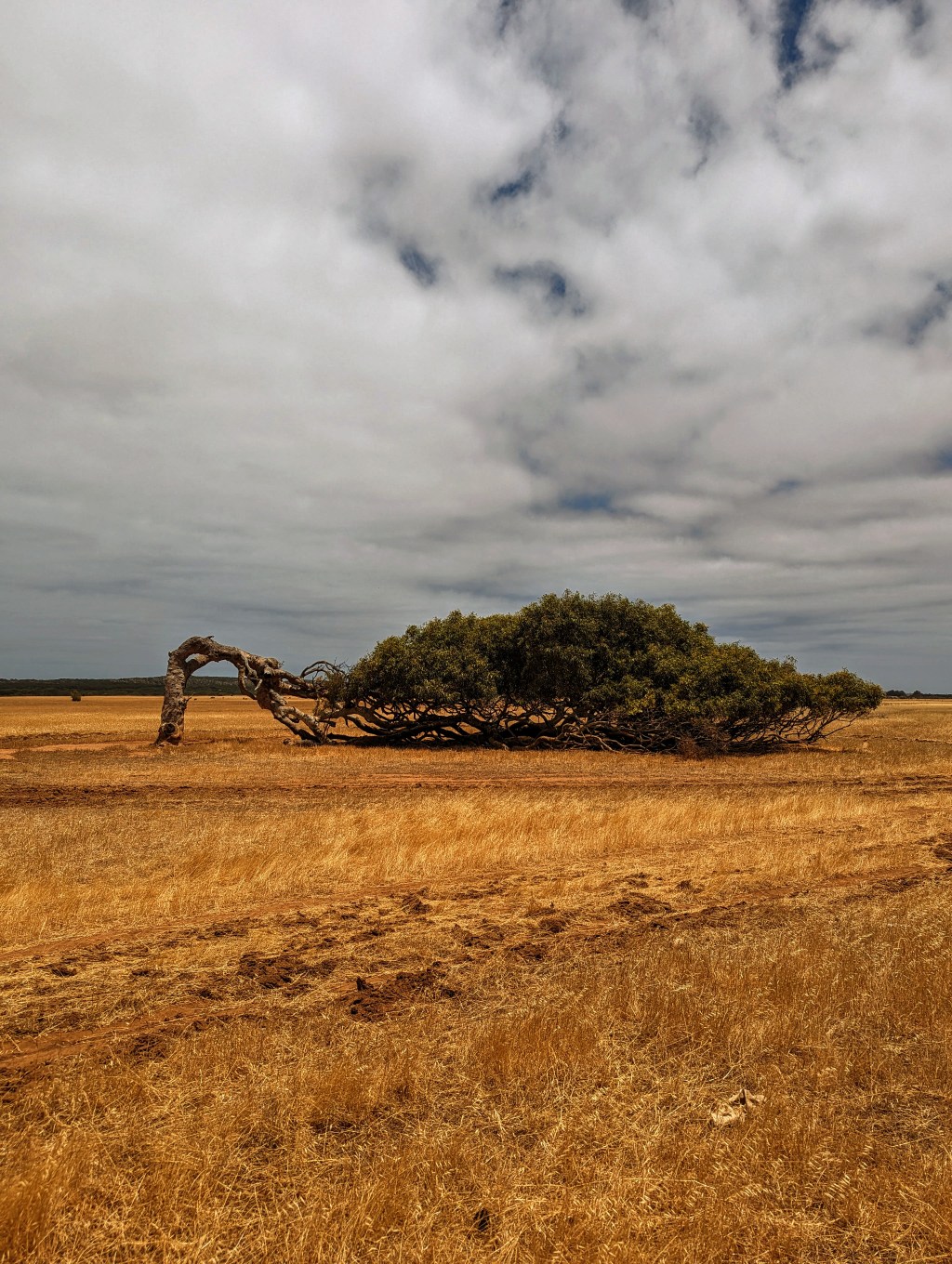 Tag 119, Geraldton –&nbsp;AUS