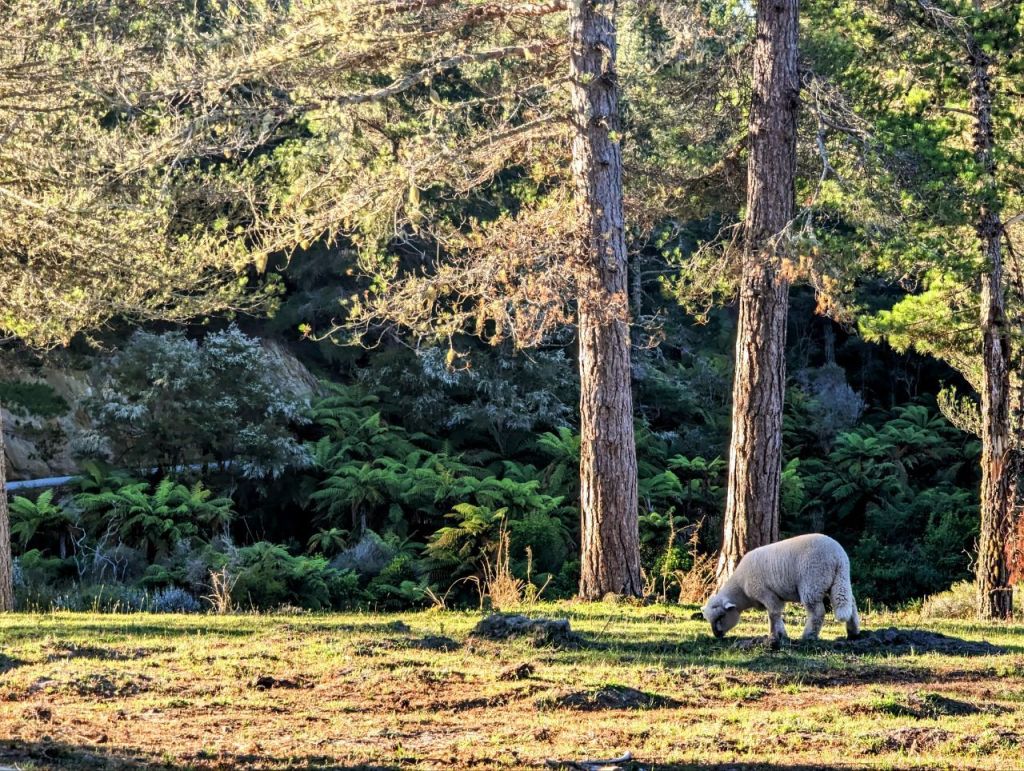 Tag 169, Golden&nbsp;Bay