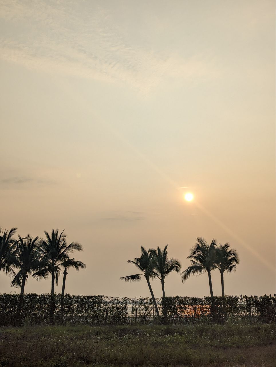 Tag 215, Ha&nbsp;Long