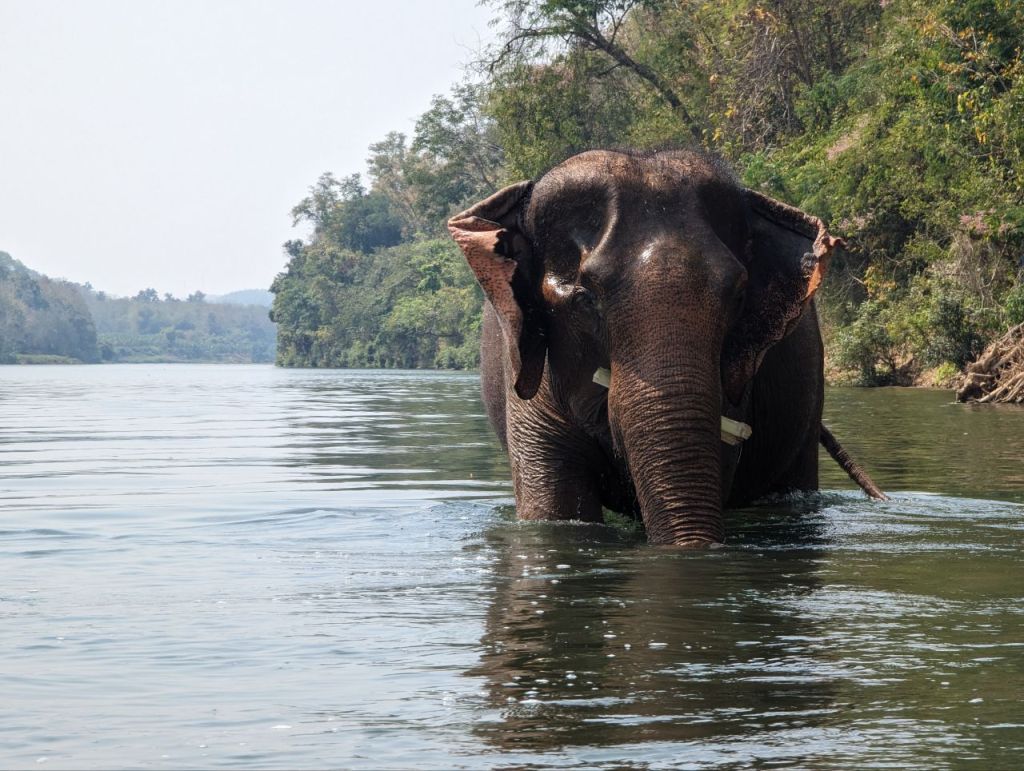Tag 228, Luang&nbsp;Prabang