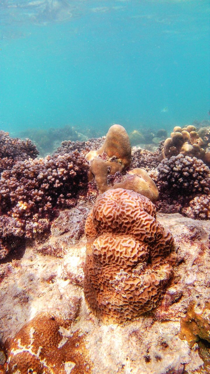 Tag 257, Ko&nbsp;Lanta