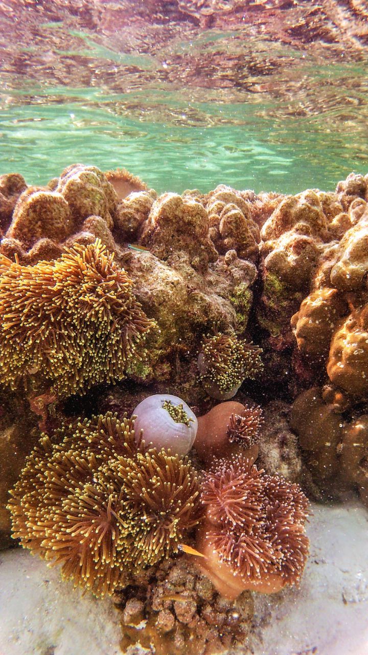 Tag 260, Ko&nbsp;Lipe