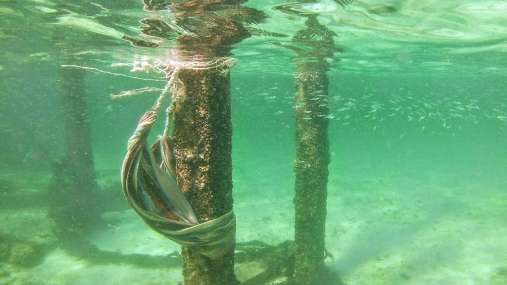 Tag 263, Ko&nbsp;Lipe