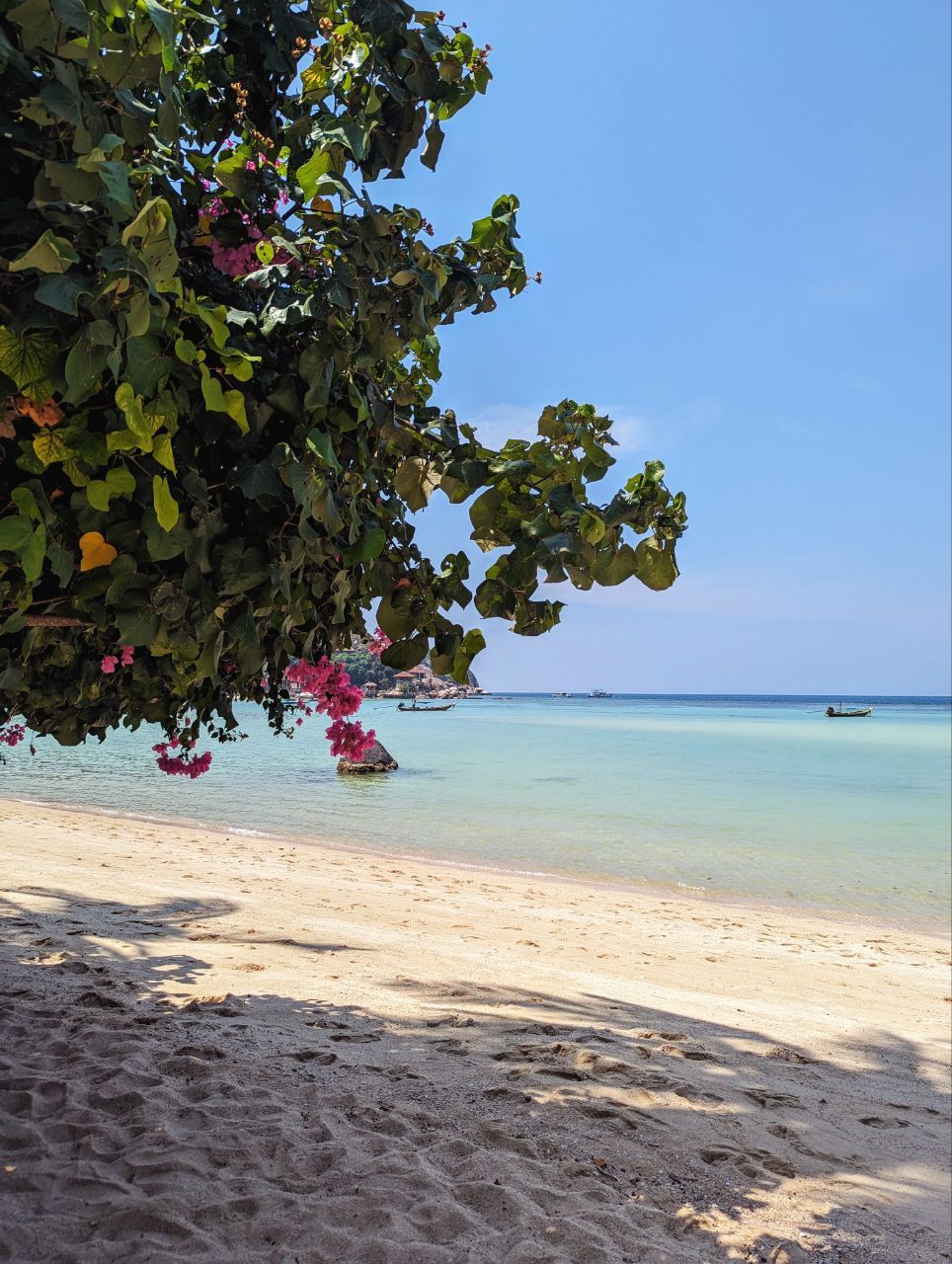 Tag 267, Ko&nbsp;Tao