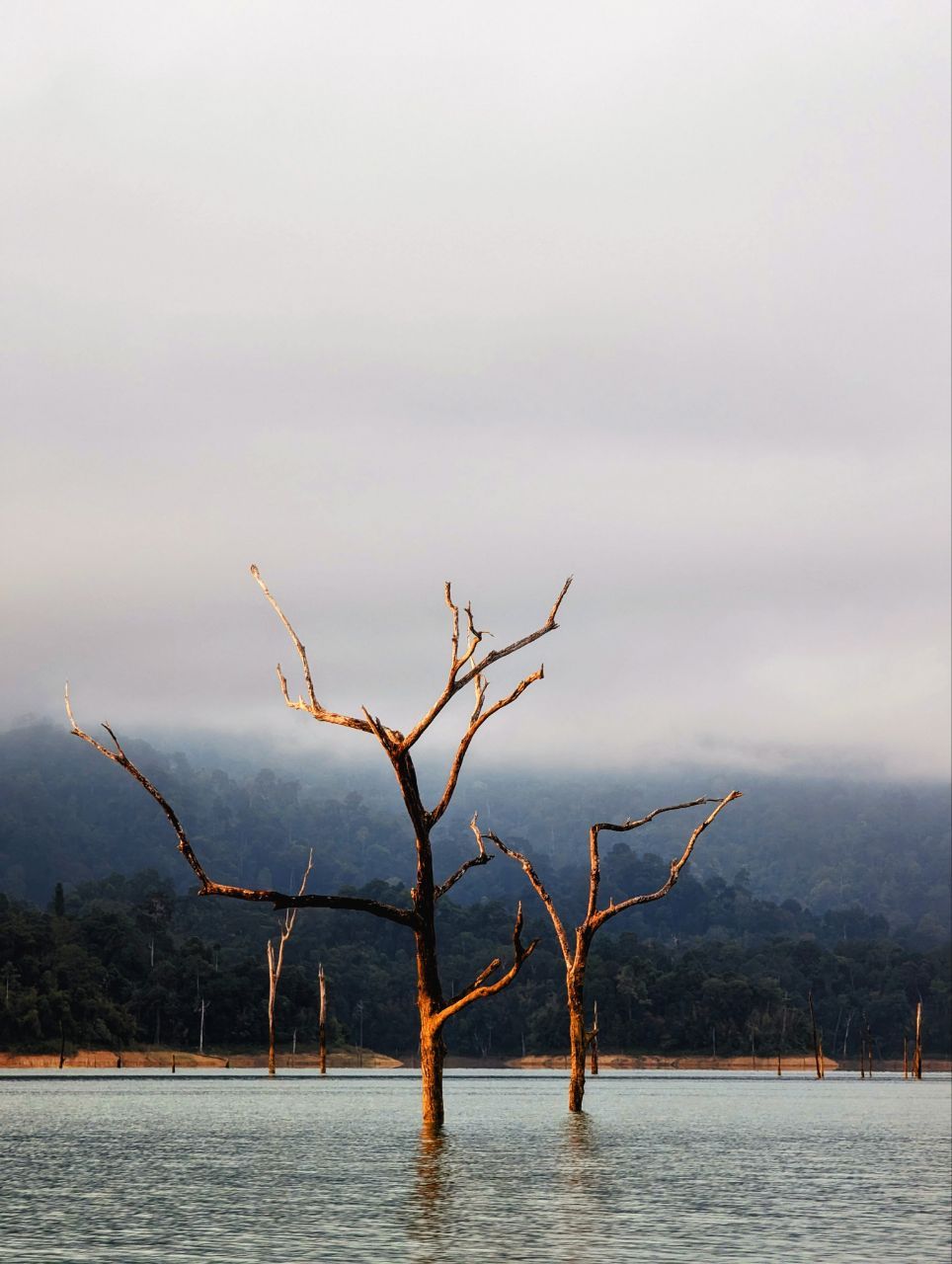 Tag 274, Khao&nbsp;Sok