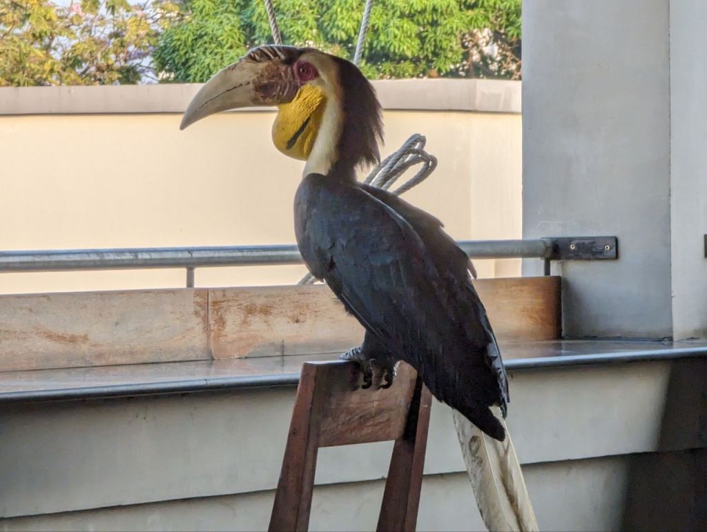 Tag 287, Phnom&nbsp;Penh